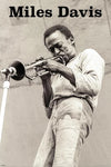 Miles Davis - Concert Scene B&W