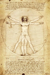 Da Vinci - Vitruvian Man