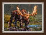 Big Daddy Moose Framed