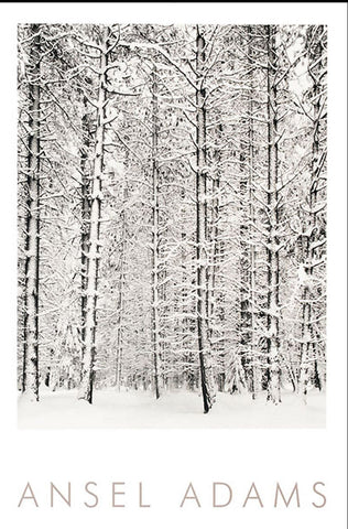 Ansel Adams - Pine Forest in the Snow, Yosemite National Park Vintage Poster 24 x 36