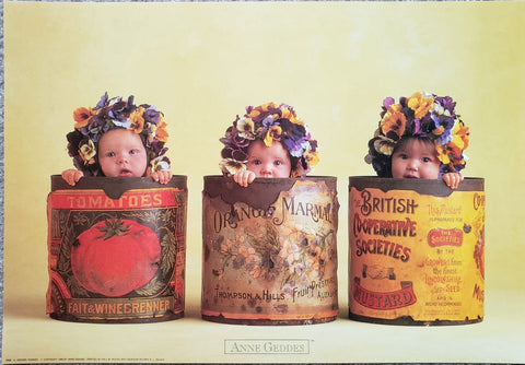 Anne Geddes Pansy Tins Baby Poster 34 x 49 cm