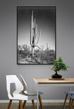 Full view of cactus and surrounding shrubs, In Saguaro National Monument, Arizona, ca. 1941-1942 by Adams, Ansel Reproduction