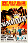 Tarantula - Giant Spider Strikes